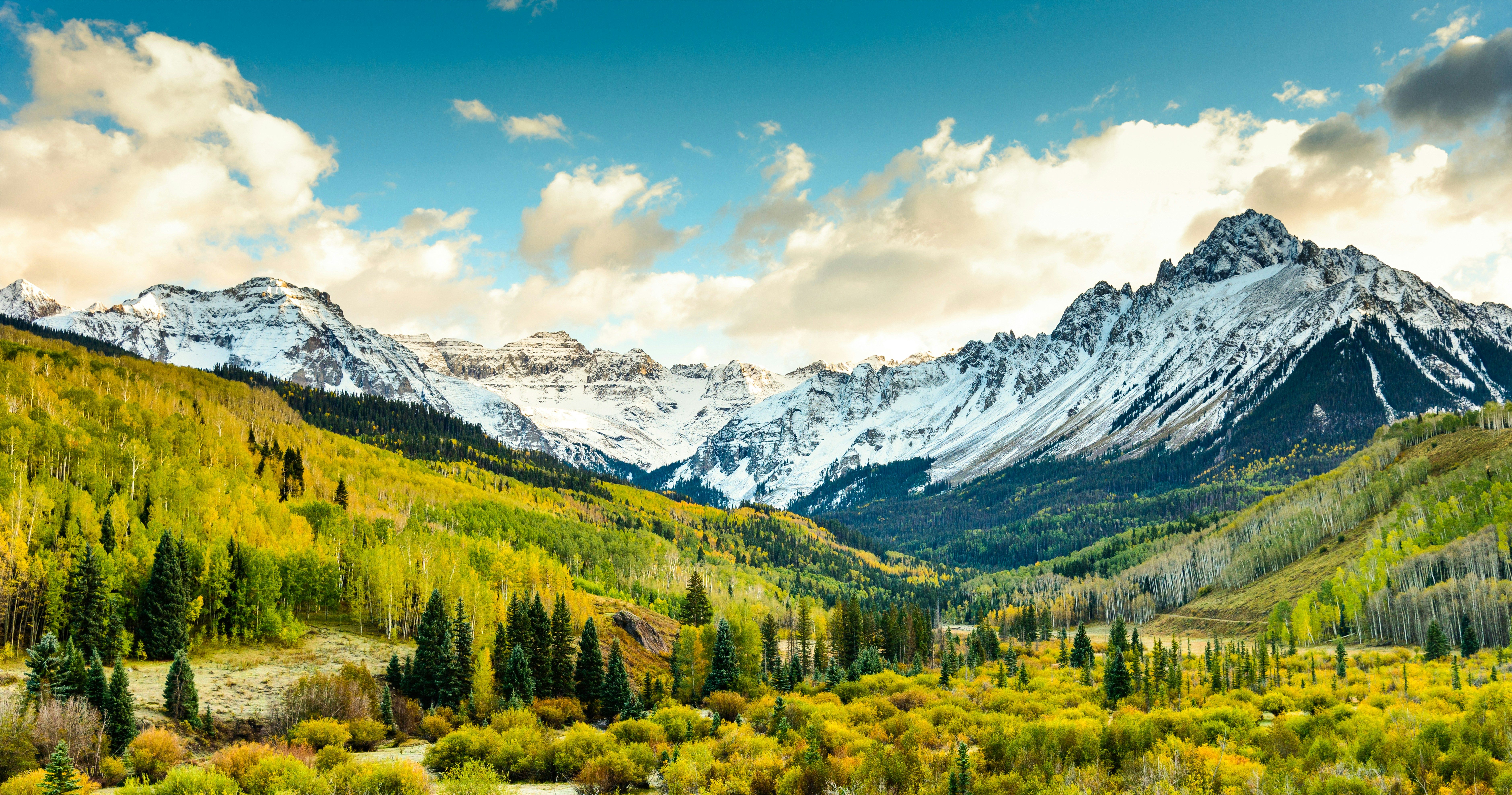 Peisaj natural cu copaci, pajiște și cer senin
